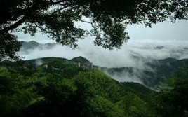 德清天气预报一周7天-德清天气预报一周7天