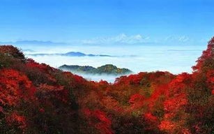 四川峨眉山天气预报7天-峨眉山天气预报7天
