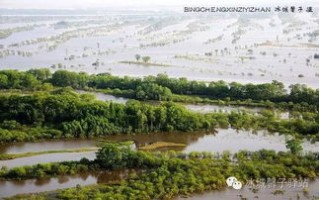 鸡西天气预报15天查询当地-鸡西天气预报15天查询