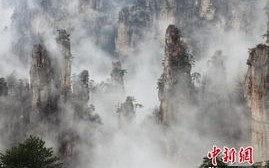 张家界天气预报一周7天张家天子山-张家界天气预报一周7天