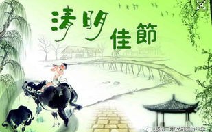 端午节新乡市限号吗?-新乡市清明节限号吗