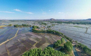乌兰浩特24小时天气预报查询-乌兰浩特24小时天气预报