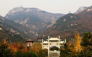 新泰天气预报查询-新泰天气预报一周天气