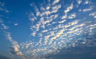 深圳天气30天预报深圳-深圳天气30天预报深圳疫情