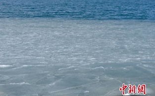 青海湖天气15天查询-青海湖天气15天查询表格最新版