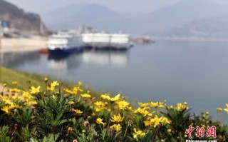 宜昌天气预报15天-天气预报宜昌天气预报15天