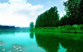 伊春天气预报15天-伊春天气预报一周