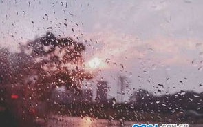 今天上海天气暴雨-上海今天暴雨情况