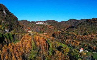建始县天气预报15天查询-建始县天气预报15天