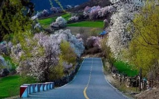 林芝天气预报15天气-林芝天气预报15天气央视天气