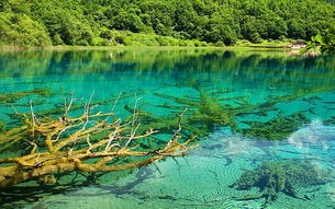 九寨沟黄龙天气预报一周7天-九寨沟黄龙天气预报查询15天