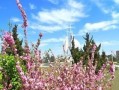 天气预报今天24小时详情下载-天气预报今天24小时详情