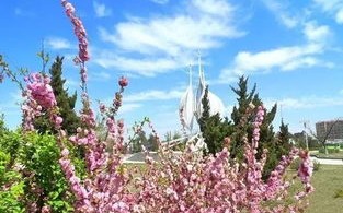 天气预报今天24小时详情下载-天气预报今天24小时详情