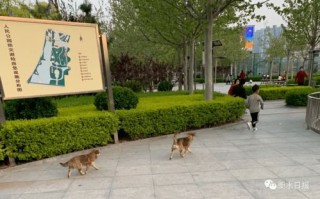 衡水天气预报30天准确一览表图片-衡水天气预报30天