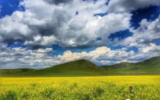 东营天气预报15天查询-东营天气预报15天查询最新消息今天