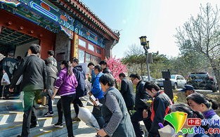 清明节限行吗北京-清明节限行吗北京限行吗