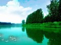 临淄天气预报一周天气-临淄天气预报15天