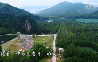 伊春天气预报15天-伊春天气预报15天查询结果预报