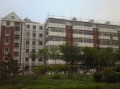 富锦天气预报15天查询003乡道-富锦天气预报15天查询