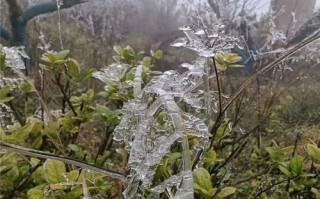 六盘水天气预报15天准确率-六盘水天气预报15天