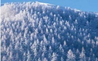漠河天气预报15天气报气-漠河天气预报15天