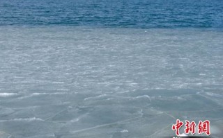 青海十五天天气预报15天查询结果-青海15日天气预报