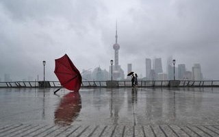 上海天气预报台风-上海天气预报台风最新数据