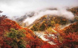 荆门天气预报7天准确-荆门天气预报7天