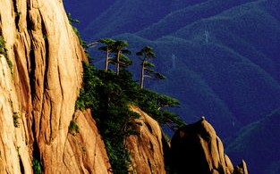 安徽黄山天气预报15天准确一览表图片-安徽黄山天气预报15天