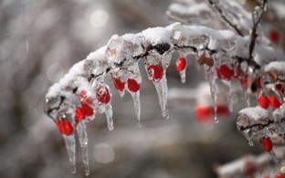 临武天气预报40天查询百度百科-临武天气预报40天