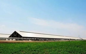 2021出定州需要什么-现在出入定州最新规定