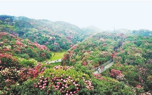 毕节天气预报15天-毕节天气预报15天查询百度一下