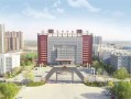 涿州限号查询今天2024年-涿州限号查询今天