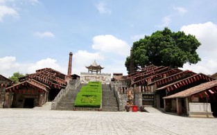 聊城天气预报15天查询30天-聊城天气预报15天查