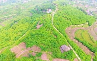 广安天气预报15天查询-广安天气预报15天查询邻水