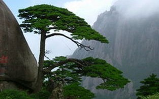 黄山天气预报30天查询-黄山天气预报30天查询风景区有哪些