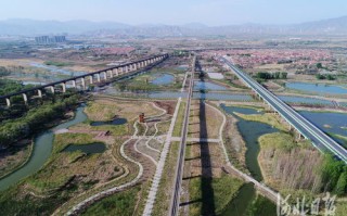 洋河天气预报15天最新消息查询-洋河天气预报