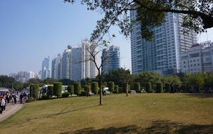 南宁天气预报15天天气-南宁天气预报15天天气,南宁天气预报62578