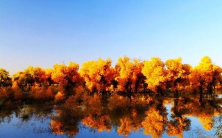 内蒙胡杨林天气预报15天查询-胡杨林地区天气预报30天准确