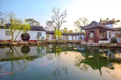 江苏苏州天气-江苏苏州天气预报15天查询百度-第3张图片-雾华天气
