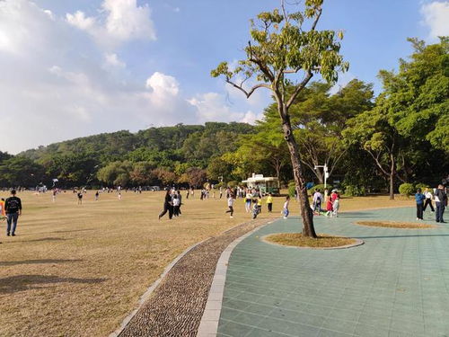 莲花山公园介绍-莲花山公园介绍视频-第3张图片-雾华天气