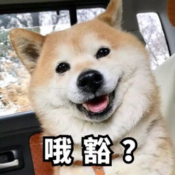北京今天限号限几和几字母-北京今天限号限几和几-第3张图片-雾华天气