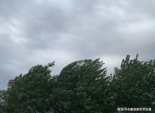 泰安天气预报15天查询-泰安天气预报15天查询30天-第3张图片-雾华天气