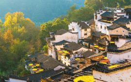 婺源天气预报七天查询结果-婺源天气预报七天-第3张图片-雾华天气