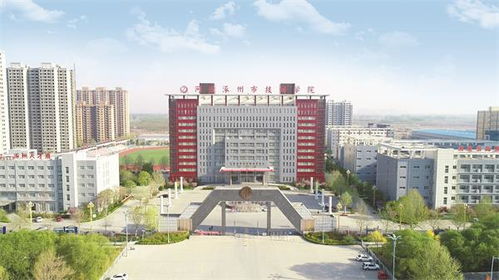 涿州限号查询今天2024年-涿州限号查询今天-第1张图片-雾华天气