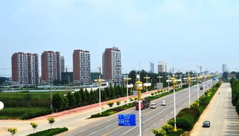 衡水天气预报15天查询-河北衡水天气预报15天查询-第1张图片-雾华天气