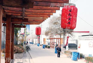 衡水天气预报15天查询-河北衡水天气预报15天查询-第2张图片-雾华天气