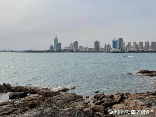 山东青岛天气预报一周15天-山东省青岛天气预报一周天气预报-第3张图片-雾华天气