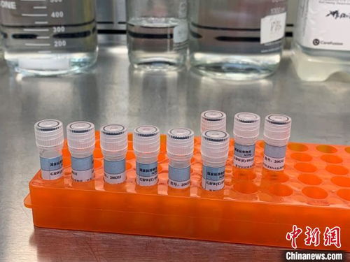 近期出入上海-最近出入上海最新规定-第2张图片-雾华天气