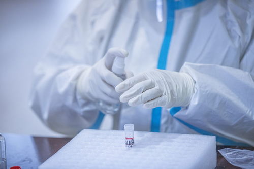 近期出入上海-最近出入上海最新规定-第3张图片-雾华天气